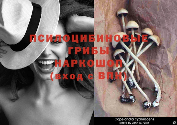 мяу мяу кристалл Богородицк