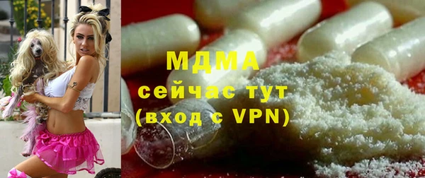 прущие грибы Беломорск