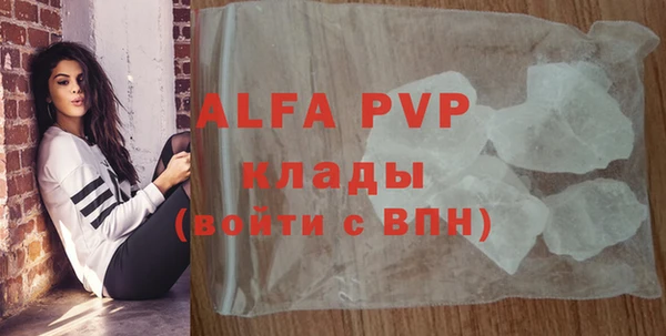 прущие грибы Беломорск