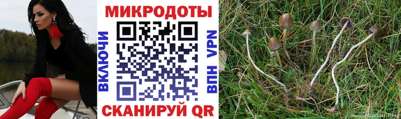 Псилоцибиновые грибы Psilocybe  как найти наркотики  Сковородино 